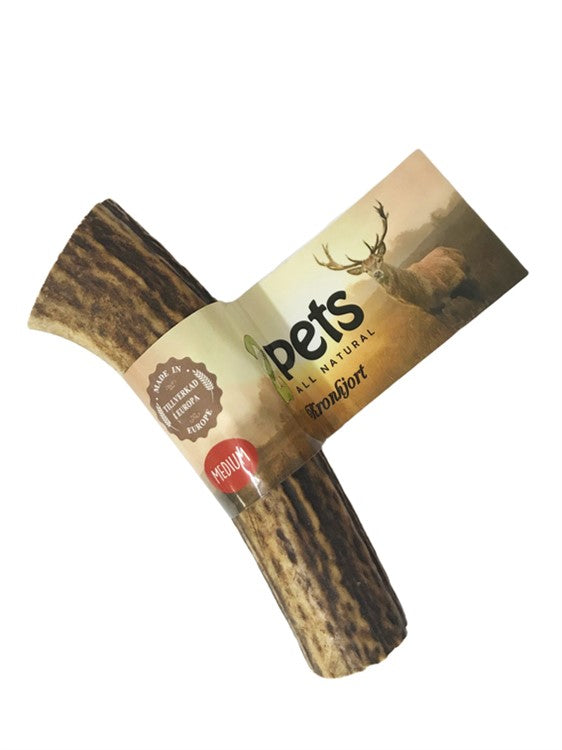 2pets Tugghorn av Hjort – Naturligt, hållbart & extra lång tuggtid! 🦌🐕