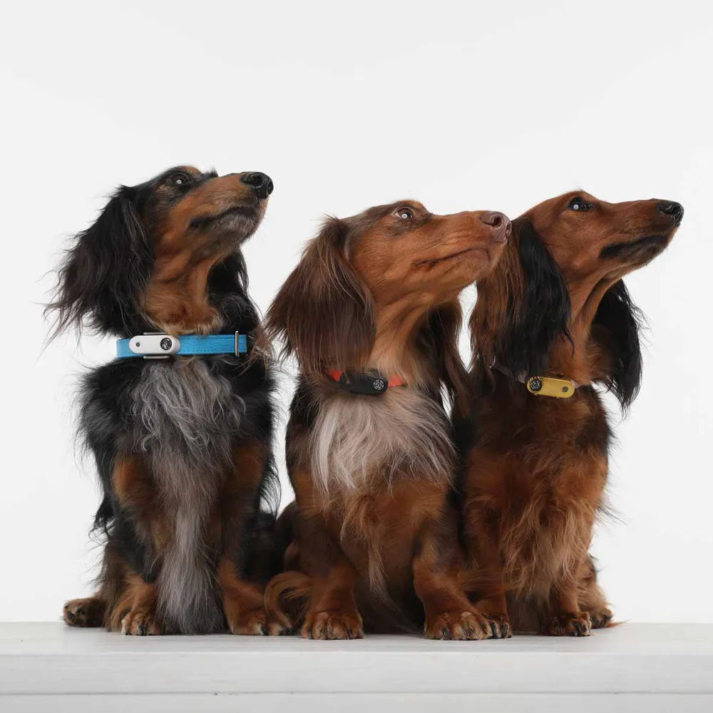 Tickless Pet Mini – laddbart skydd mot fästingar & loppor (svart/orange) ⚡🐾