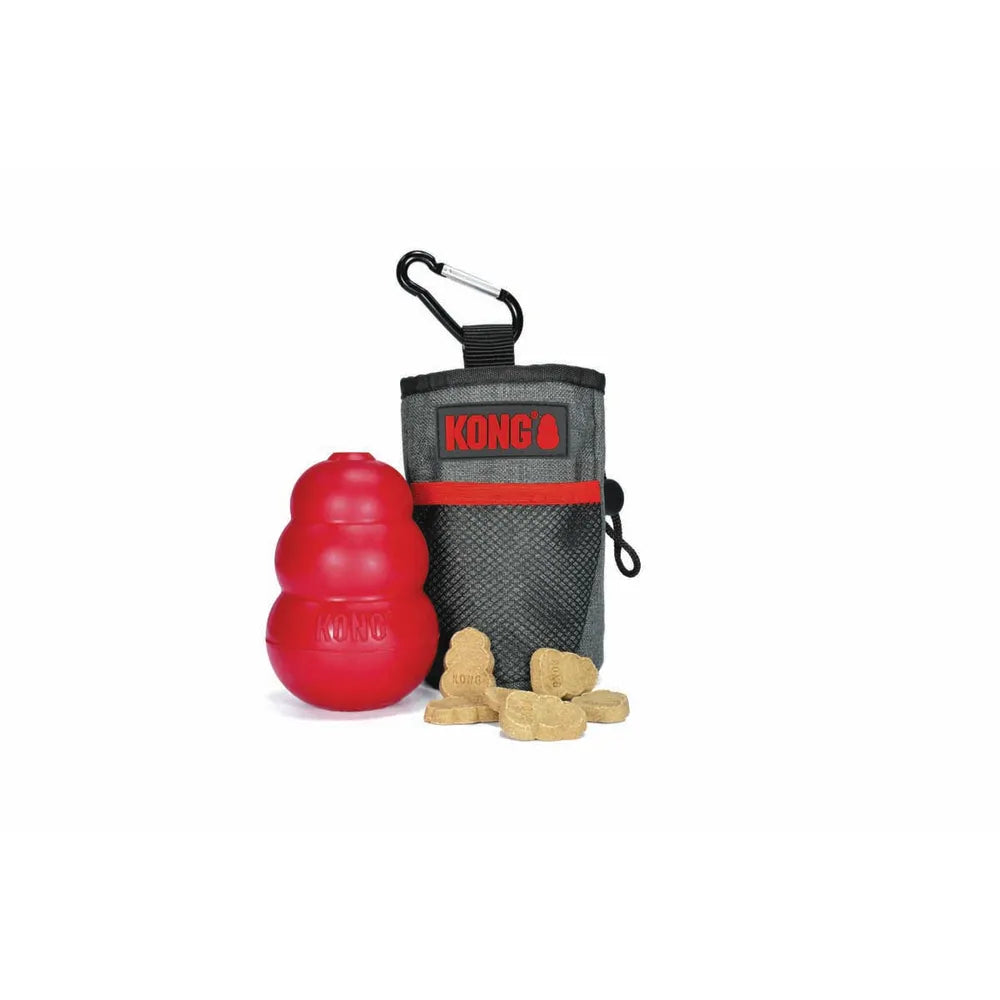 đ KONG Treat Bag â Godis i farten, redo pĂ„ sekunden! đđŸ