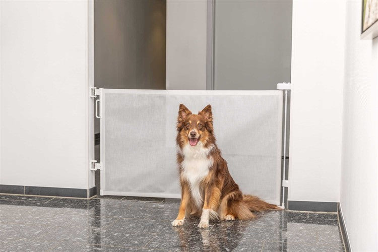 Rullbarriär för Hund – Smidig gränssättare med stil & kärlek 🐾🚧✨