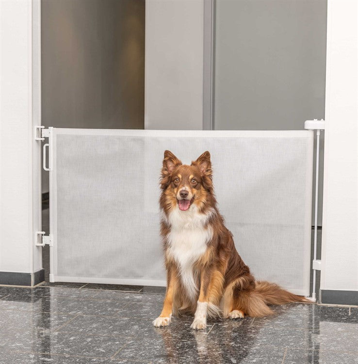 Rullbarriär för Hund – Smidig gränssättare med stil & kärlek 🐾🚧✨