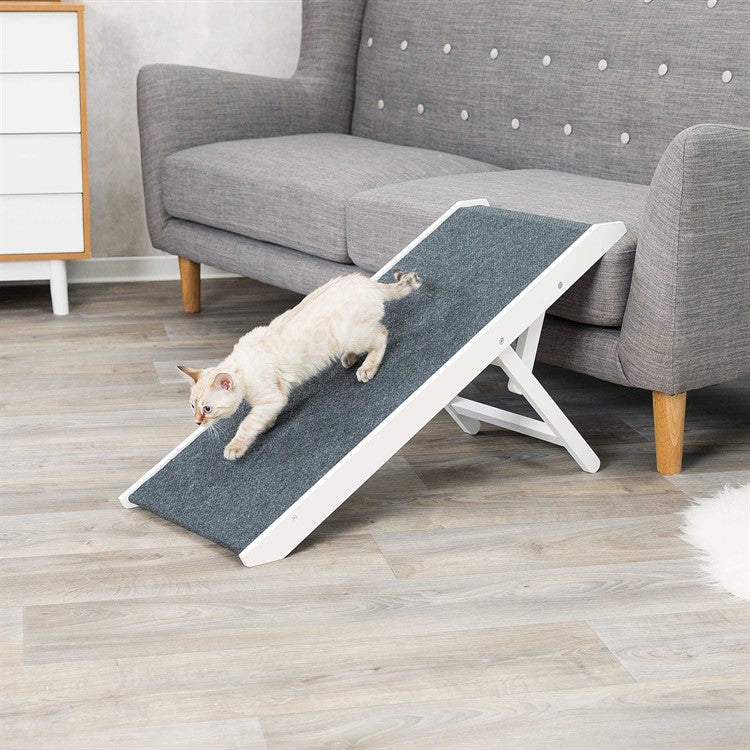 Justerbar ramp för hundar och katter – skonsam för tassar och leder 💕🐕