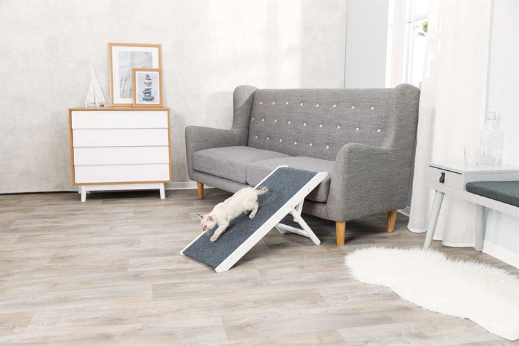Justerbar ramp för hundar och katter – skonsam för tassar och leder 💕🐕