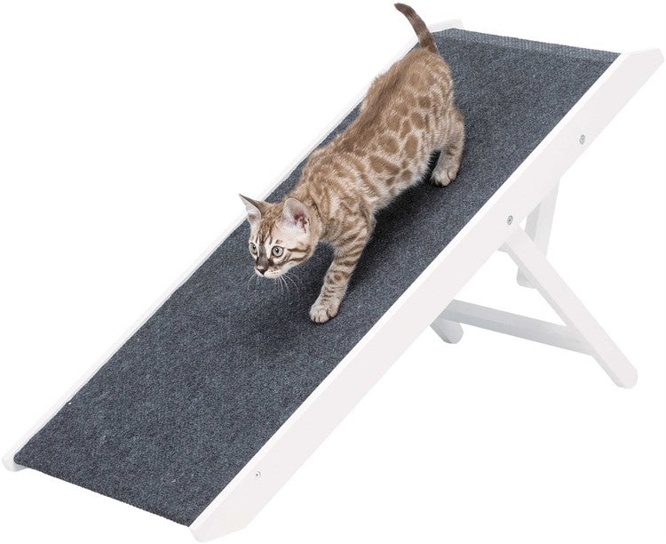 Justerbar ramp för hundar och katter – skonsam för tassar och leder 💕🐕