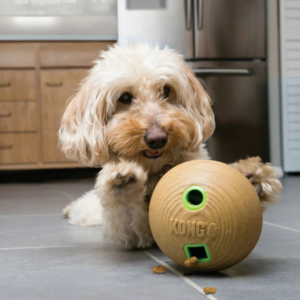 KONG Bamboo Feeder Ball – Tyst och smart belöningsboll Ø12 cm 🎲🐶