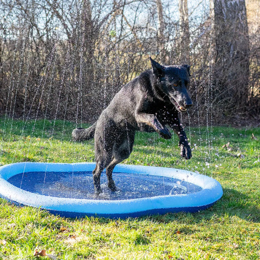 Dog Splash Pool Ø150 cm – Vattenspridarglädje för hela flocken 💦🐾
