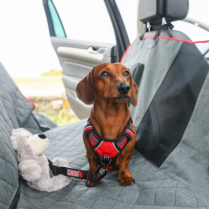 🐾 KONG 2-i-1 Bilskydd – Hammock & sätesskydd i ett! 🚗