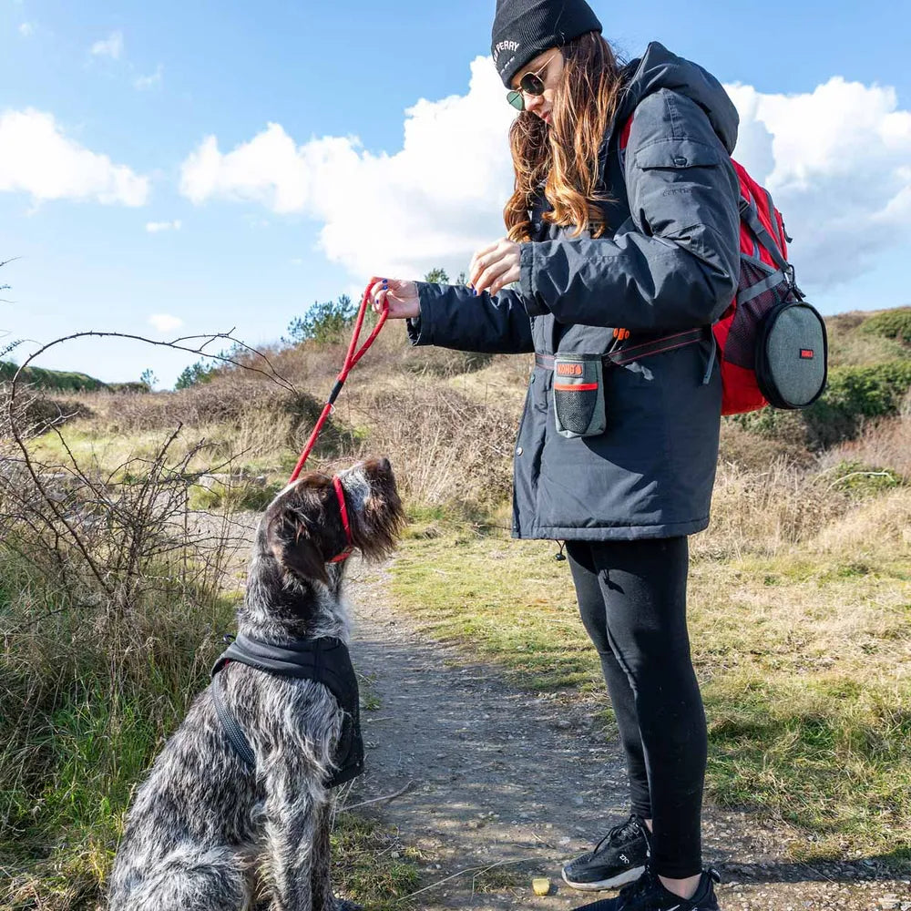 🎒 KONG Treat Bag – Godis i farten, redo på sekunden! 🍗🐾