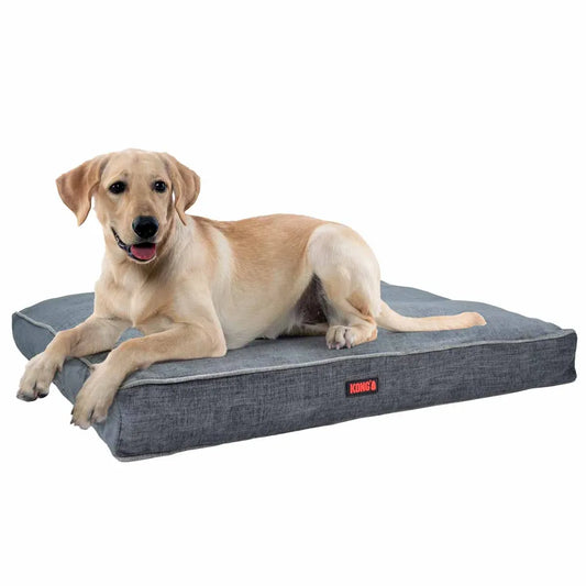 💤 KONG Light Grey Hundbädd – Vadderad vila med stil! 🐕🛏️