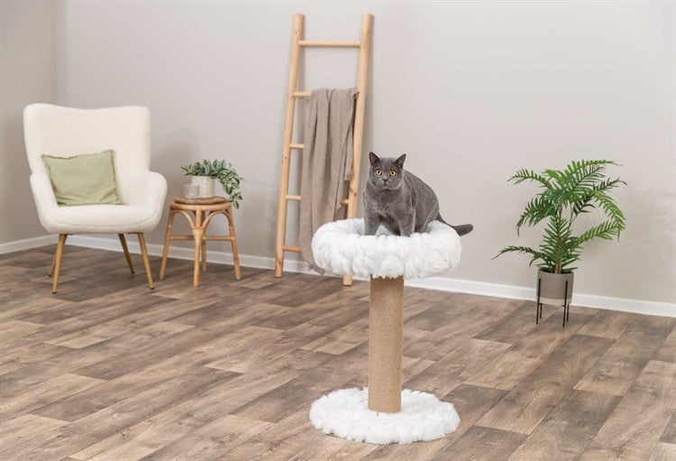 Klösmöbel Mirella 55 cm – Vintervit Dröm med Mjuk Bädd 🐱❄️🛏️