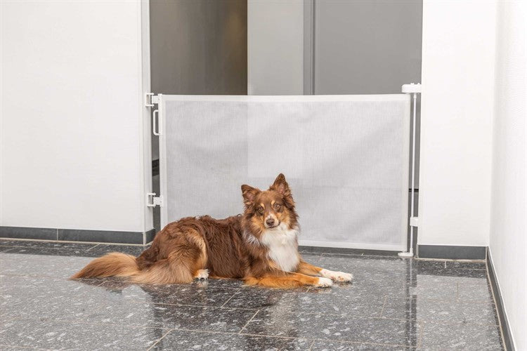 Rullbarriär för Hund – Smidig gränssättare med stil & kärlek 🐾🚧✨
