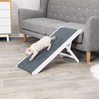 Justerbar ramp för hundar och katter – skonsam för tassar och leder 💕🐕