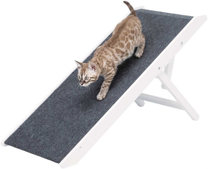 Justerbar ramp för hundar och katter – skonsam för tassar och leder 💕🐕