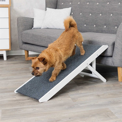 Justerbar ramp för hundar och katter – skonsam för tassar och leder 💕🐕