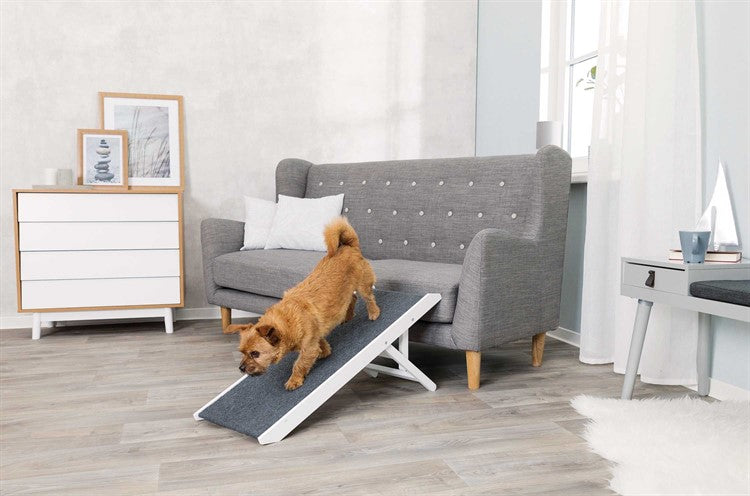 Justerbar ramp för hundar och katter – skonsam för tassar och leder 💕🐕
