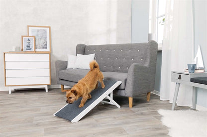 Justerbar ramp för hundar och katter – skonsam för tassar och leder 💕🐕